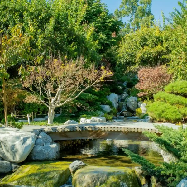 the botanical garden at San Diego's Balboa park