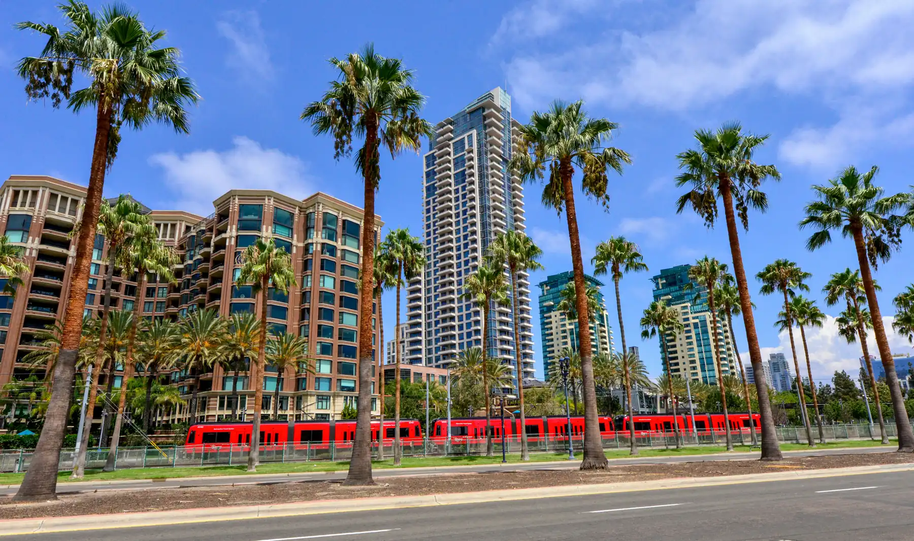 the view across the street from the San Diego Convention Center, with skyscrapers and palm trees