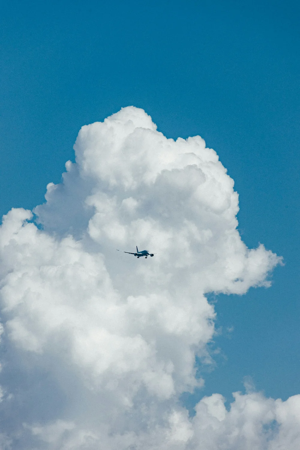 a plane in the clouds